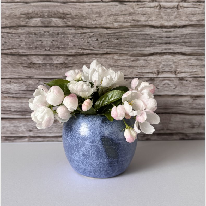 Bl kuglevase